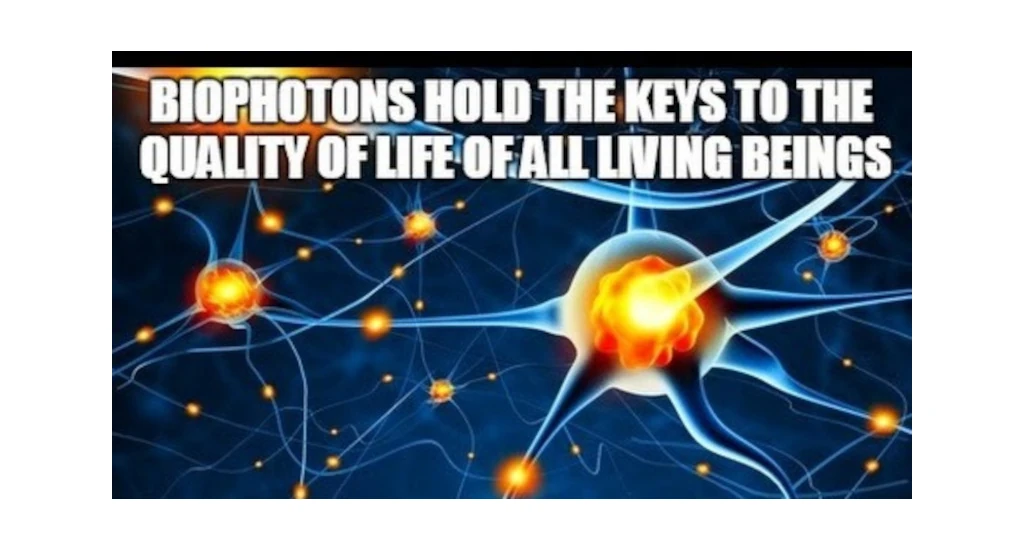 Biophotons